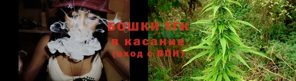 PSILOCYBIN Алзамай