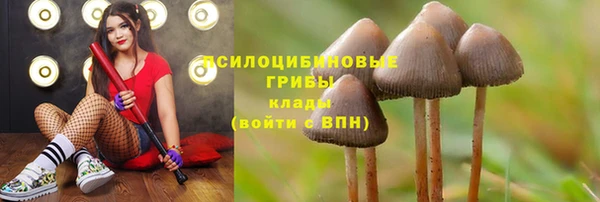шишки Алексеевка