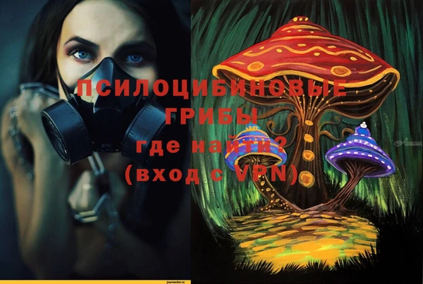 PSILOCYBIN Алзамай