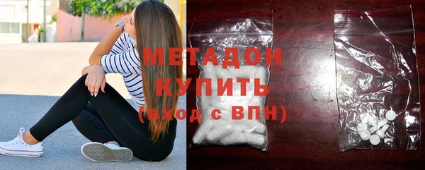 шишки Арсеньев