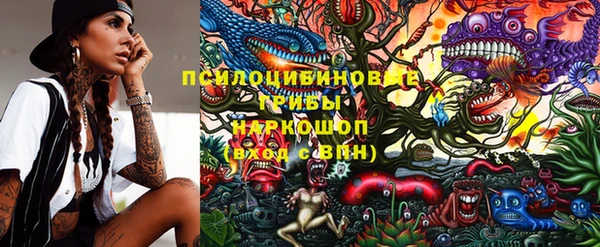 шишки Арсеньев