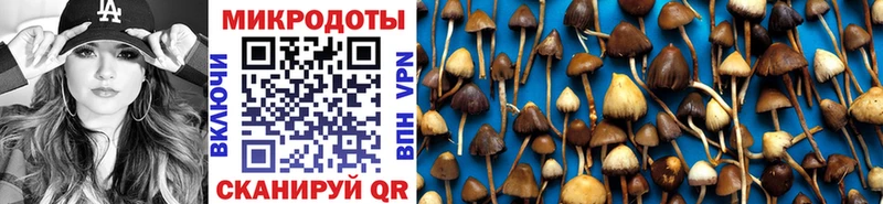 Псилоцибиновые грибы GOLDEN TEACHER наркошоп Байкальск